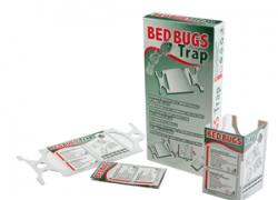 Bed bugs trap